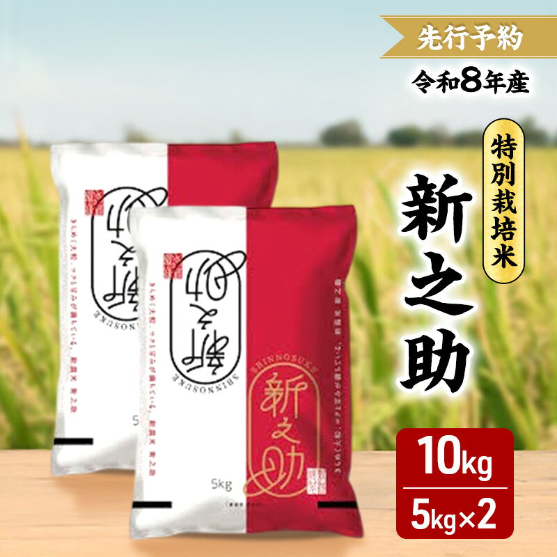 Rakuten - 【ふるさと納税】先行予約 令和8年 新潟県産新之助 特別栽培米 10kg 10キロ （5kg×2袋） 上越市 三和区神田 富永農産 有機肥料 自家製たい肥　お届け：2026年10月中旬～12月下旬まで
