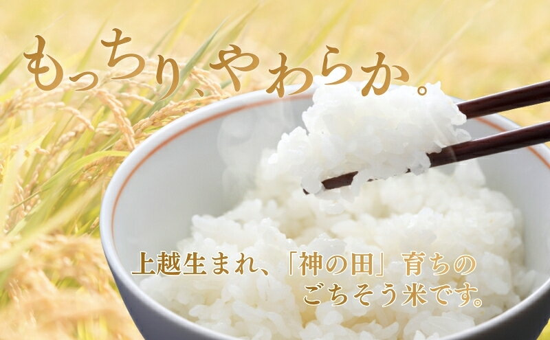 【ふるさと納税】先行予約 令和8年 新潟県産新之助 特別栽培米 10kg 10キロ （5kg×2袋） 上越市 三和区神田 富永農産 有機肥料 自家製たい肥　お届け：2026年10月中旬～12月下旬まで f152226-joetsu-10003076 新潟県上越市 サンプル画像2