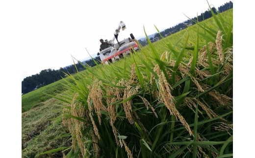 【ふるさと納税】先行予約 令和8年 新潟県産コシヒカリ 【アイガモ農法】 玄米 10k...