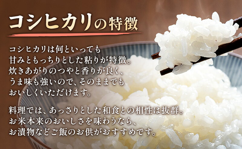 【ふるさと納税】先行予約 令和8年 新潟県上越市産 コシヒカリ（特別栽培米）| 2kg 2キロ 米 こしひかり 山本農園 ご飯 精米 新潟 上越　お届け：2026年10月中旬～2027年10月下旬まで f152226-joetsu-10003173 新潟県上越市 サンプル画像2