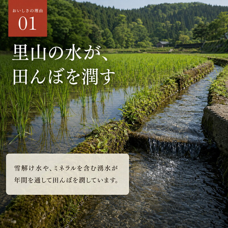【ふるさと納税】令和8年 新米 新潟県上越市産 コシヒカリ にじのきらめき 5kg 5キロ 10kg 10キロ 15キロ 15kg 20キロ 20kg お米 コメ こしひかり 秋山農場グリーンプロジェクト　お届け：2026年10月中旬以降、順次発送 f152226-joetsu-10003092 新潟県上越市 サンプル画像3
