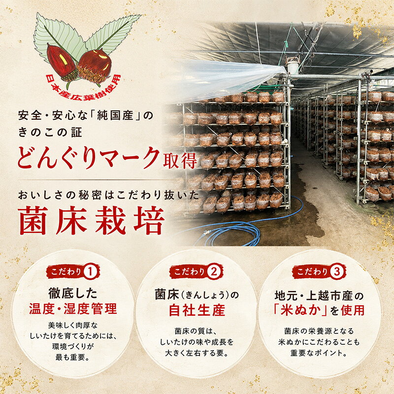 【ふるさと納税】新潟県上越市産 肉厚 生しいたけ シイタケ 椎茸 Lサイズ 約500g 約1kg 約1.5kg 約2kg 秋山農場グリーンプロジェクト　お届け：令和8年11月上旬～下旬発送 f152226-joetsu-10003100 新潟県上越市 サンプル画像3