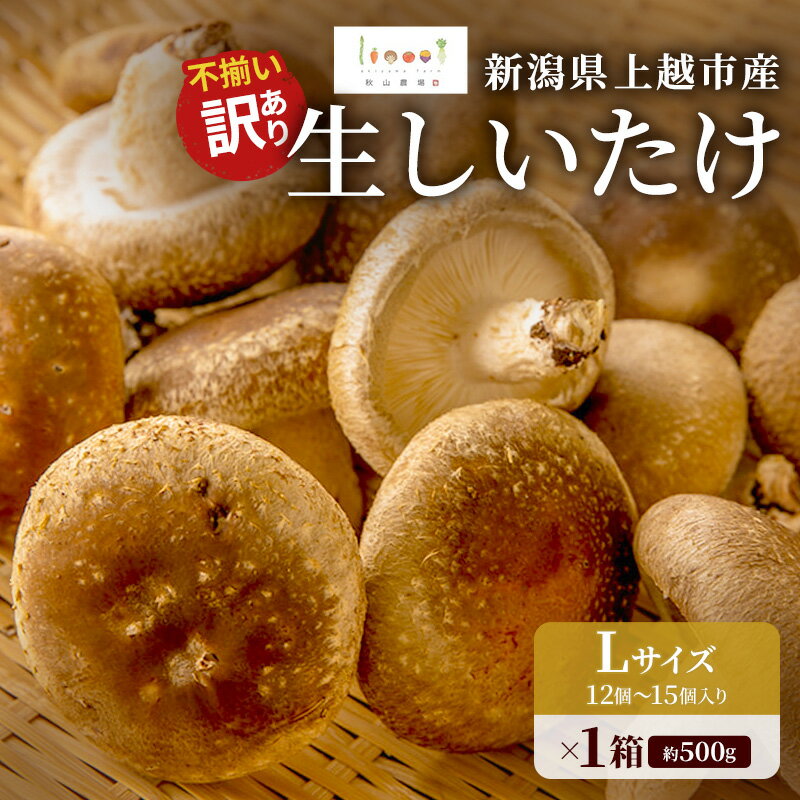 【ふるさと納税】不揃い 訳あり 新潟県上越市産 生しいたけ シイタケ 椎茸 約500g×1箱 秋山農場グリー...