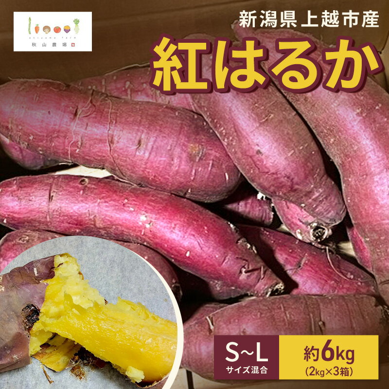 【ふるさと納税】新潟県上越市産 紅はるか サツマイモ さつまいも S-Lサイズ混合 約6kg（2kg×3箱） 秋山農場グリーンプロジェクト