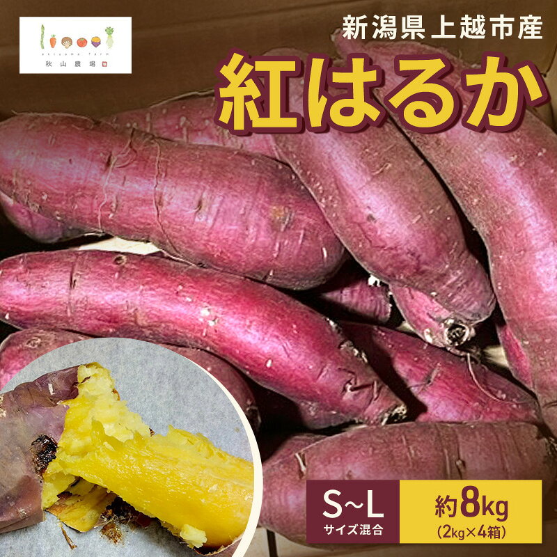 【ふるさと納税】新潟県上越市産 紅はるか サツマイモ さつまいも S-Lサイズ混合 約8kg（2kg×4箱） 秋山農場グリーンプロジェクト