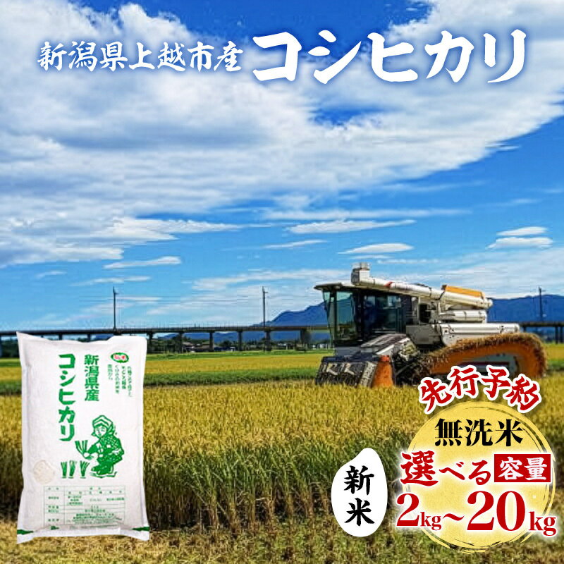 【ふるさと納税】先行予約 令和8年 新米 新潟県上越市産 無洗米 コシヒカリ 容量が選べる 2kg 5kg 10kg 15kg 20kg お米 コメ こしひかり ふぁーむ大地　お届け：10月中旬～12月下旬まで