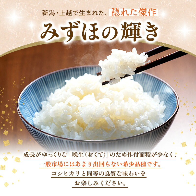 【ふるさと納税】先行予約 令和8年 新米 新潟県上越市産 みずほの輝き 容量が選べる 5kg 10kg 15kg 20kg お米 コメ ふぁーむ大地　お届け：10月中旬～12月下旬まで f152226-joetsu-10003166 新潟県上越市 サンプル画像2