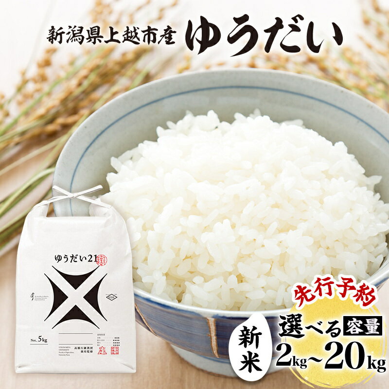 楽天市場】米 ゆう だい 21の通販