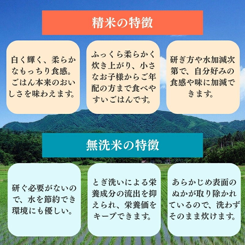 【ふるさと納税】令和7年産 新潟県産 コシヒカリ 【精米/無洗米】 3kg 5kg 10kg 15...