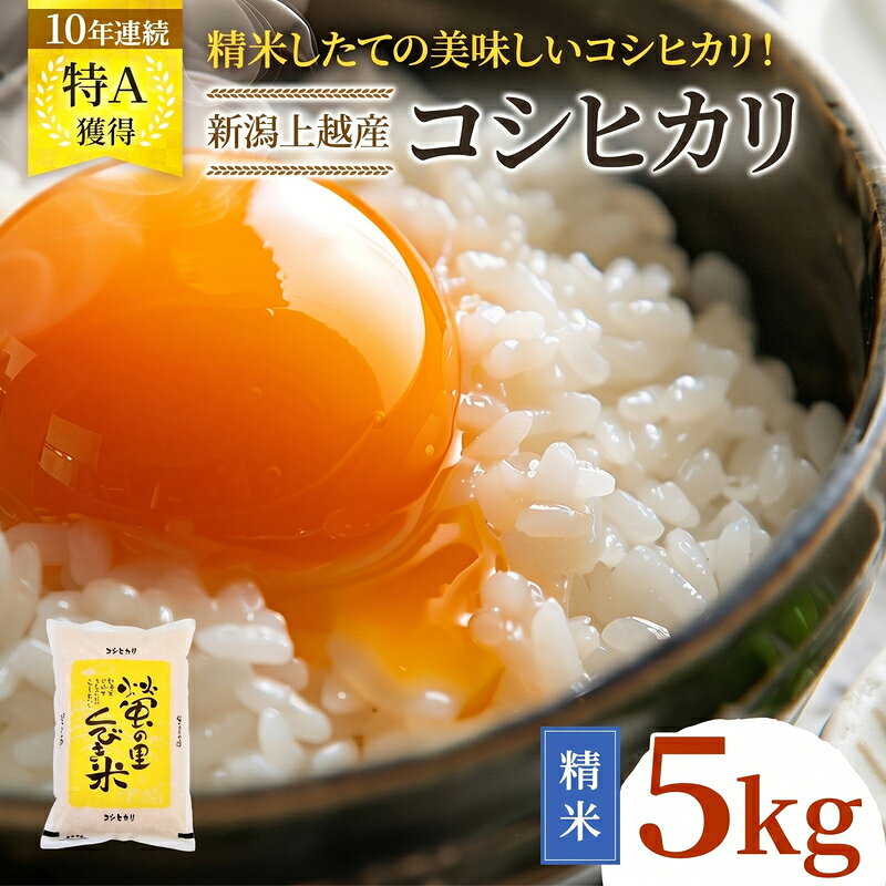 コシヒカリ 新潟県上越市