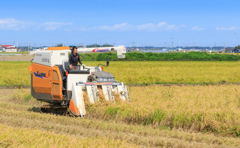 【ふるさと納税】先行予約 令和8年 新米 新潟県上越市産 特別栽培米 コシヒカリ 10kg（5kg×2袋） お米 コメ こしひかり 花の米　お届け：2026年10月中旬～12月下旬まで f152226-joetsu-10003279 新潟県上越市 サンプル画像3