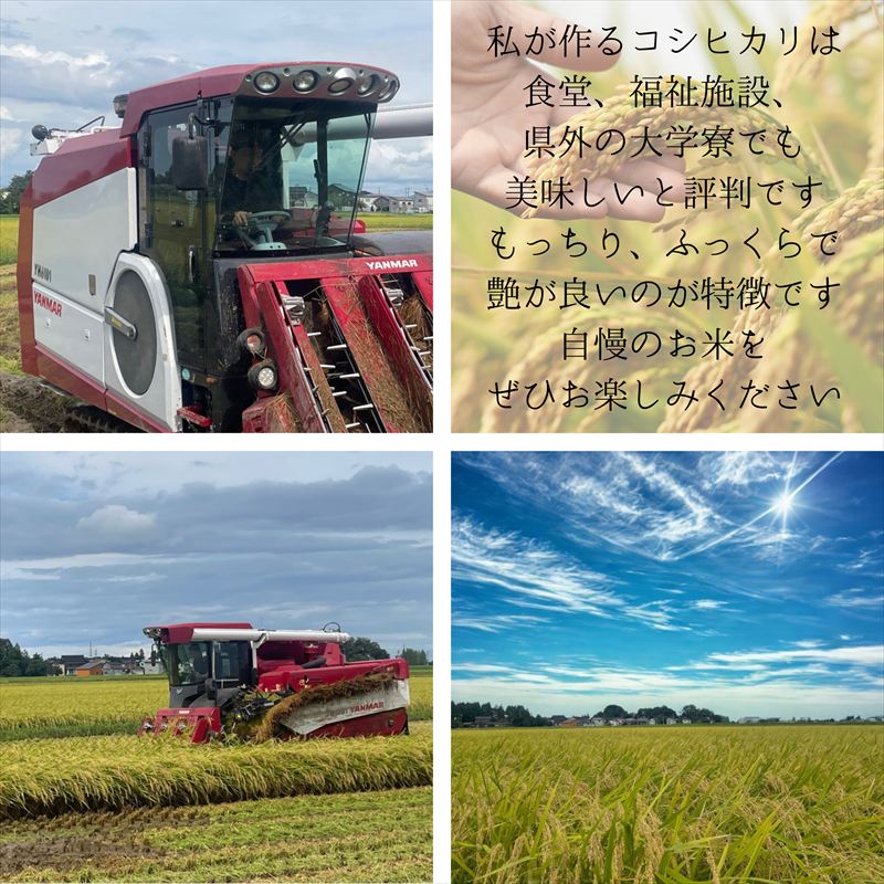 【ふるさと納税】令和8年産 先行予約 新潟県上越市産コシヒカリ 5kg×3回 定期便　お届け：2026年10月下旬～2027年9月下旬まで