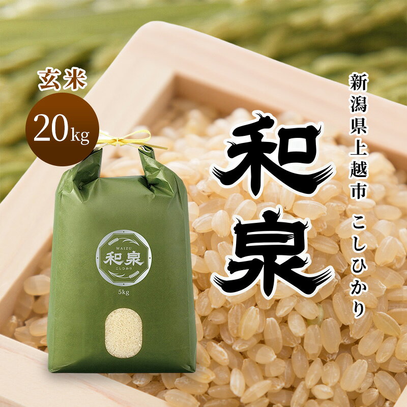 【ふるさと納税】先行予約 玄米 令和8年 新潟県 上越産 こしひかり 20kg （5kg×4袋） 和泉 ワイズファーム 上越市 米 ギフト 喜ばれる コシヒカリ　お届け：2026年10月中旬～12月下旬まで