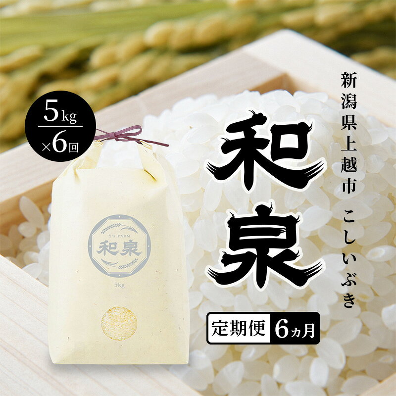 【ふるさと納税】先行予約 新米 定期便6ヶ月配送 令和8年 新潟県 上越産 こしいぶき 5kg 5キロ×6回 和泉 ワイズファーム 上越市 精米 米 ギフト 喜ばれる　お届け：2026年10月中旬～2027年10月下旬まで