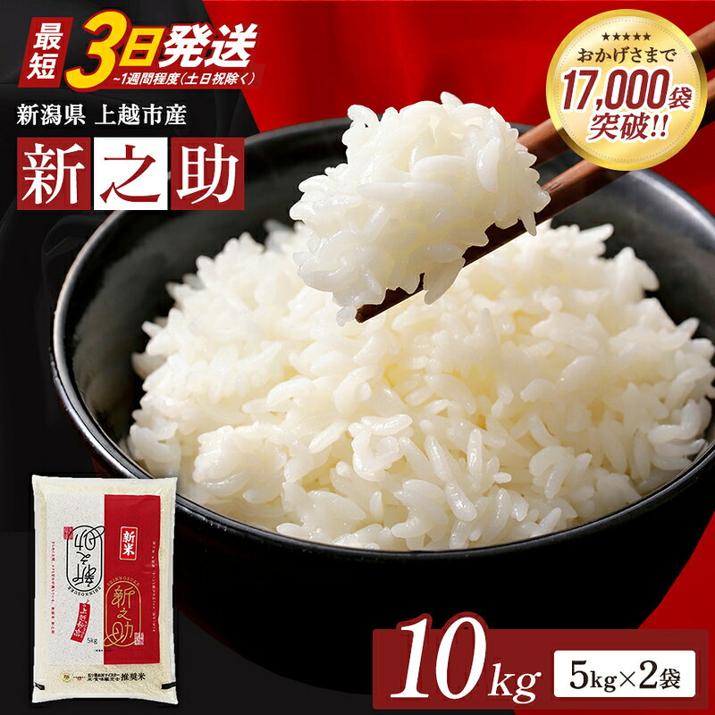 [最短3日発送]令和7年産 新之助 無洗米 新潟県 上越産 10kg (5kg×2) しんのすけ 五つ星お米マイスターのいるお店 お米 精米 米 ご飯 大黒屋商店 お届け:2026年7月下旬〜9月下旬