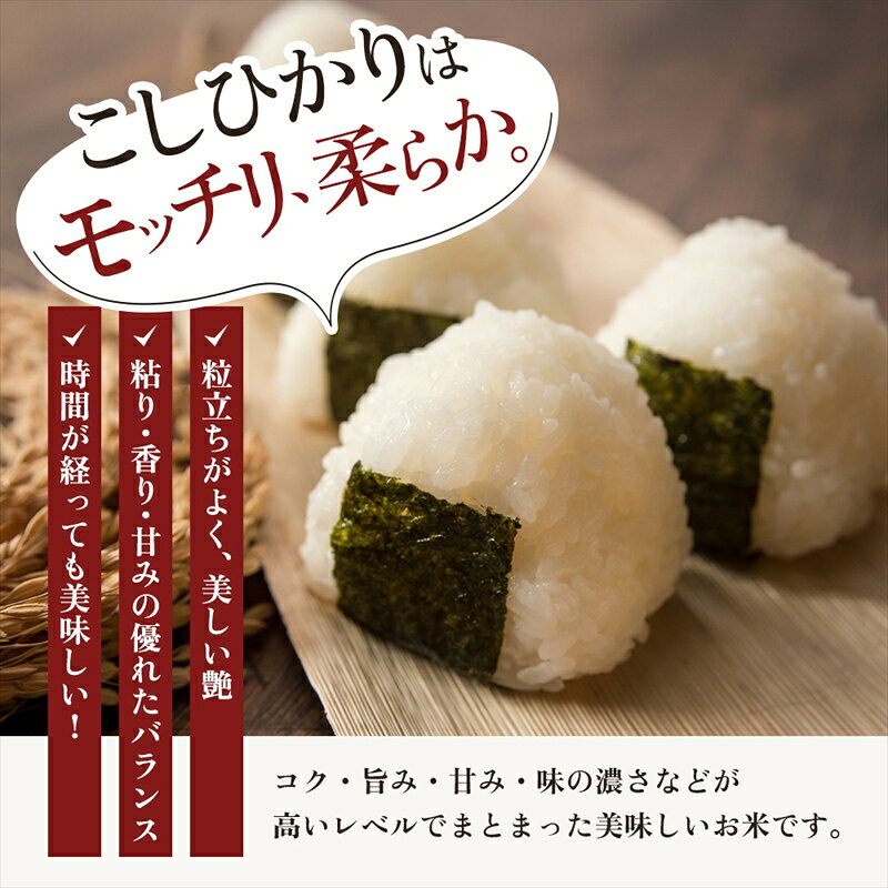 【ふるさと納税】9月開始 コシヒカリ 無洗米 新潟県 上越産 15kg (5kg×3) 12か月 定期便 こしひかり 五つ星お米マイスターのいるお店 お米 精米 米 ご飯 大黒屋商店　お届け：2026年9月上旬～2027年8月下旬 f152226-joetsu-10003300 新潟県上越市 サンプル画像3