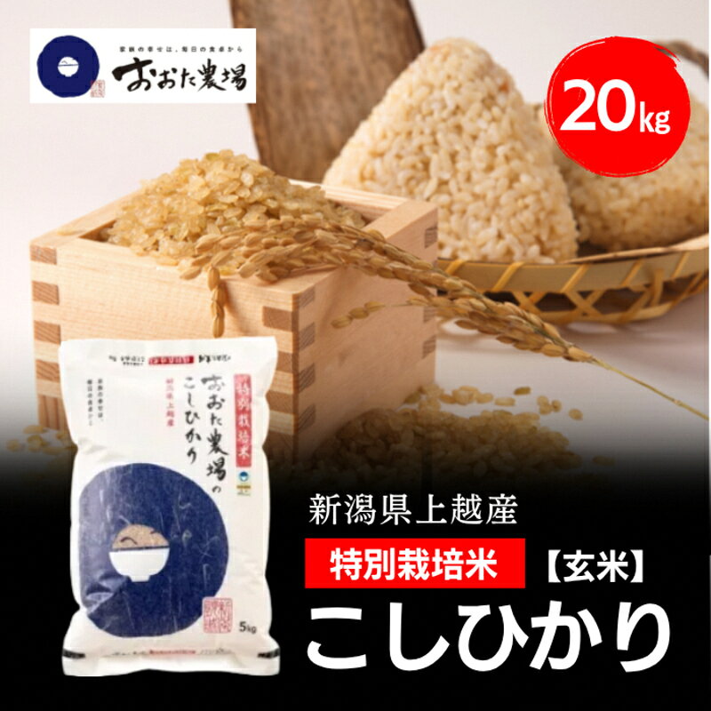 【ふるさと納税】令和8年産 新潟県上越産 特別栽培米 コシヒカリ 20kg 20キロ（5kg×4） 【玄米】 従来品種 こしひかり 新米 おおた農場 上越市　お届け：寄附入金確認後、順次発送 f152226-joetsu-10003545 新潟県上越市 パッケージ画像