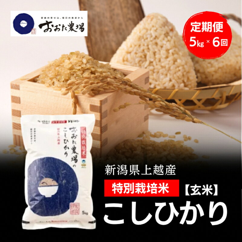 【ふるさと納税】令和8年産 新潟県上越産 特別栽培米 コシヒカリ 定期便 5kg×6回 計30kg 【玄米】 従来品種 こしひかり 新米 おおた農場 上越市　お届け：寄附入金確認後、順次発送 f152226-joetsu-10003535 新潟県上越市 パッケージ画像