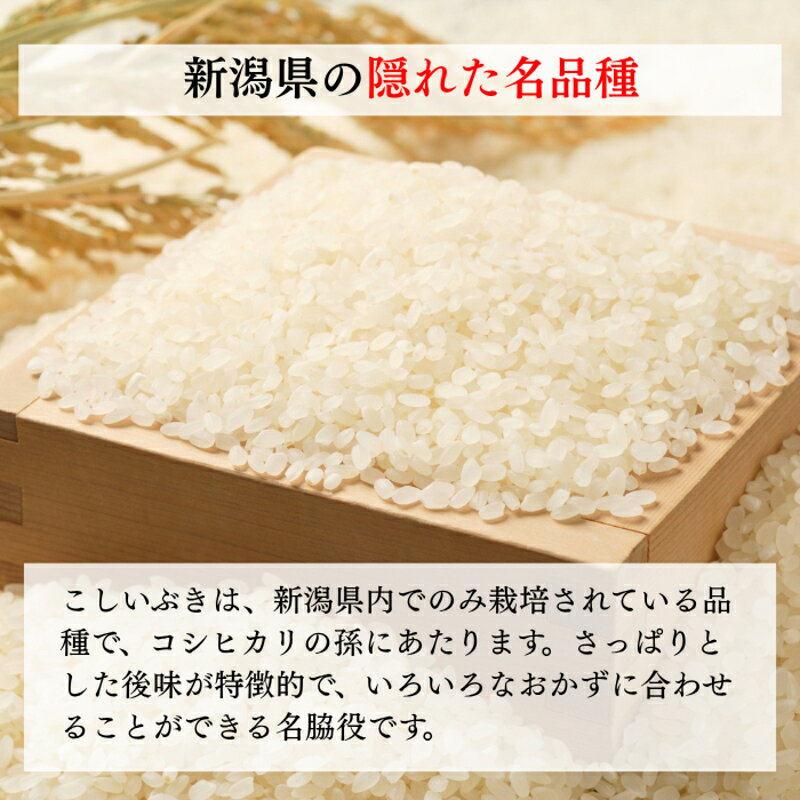【ふるさと納税】令和8年産 新潟県上越産 こしいぶき 20kg 20キロ（5kg×4）【白米】 新米 おおた農場 上越市　お届け：寄附入金確認後、順次発送 f152226-joetsu-10003534 新潟県上越市 サンプル画像2