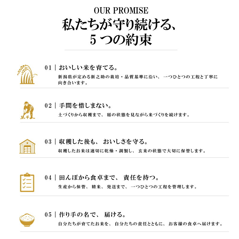 【ふるさと納税】令和8年 新米 新潟県上越市産 穂希 みずほの輝き 5kg 精米 株式会社MSD　お届け：2026年10月中旬～2027年10月中旬まで f152226-joetsu-10003613 新潟県上越市 サンプル画像3