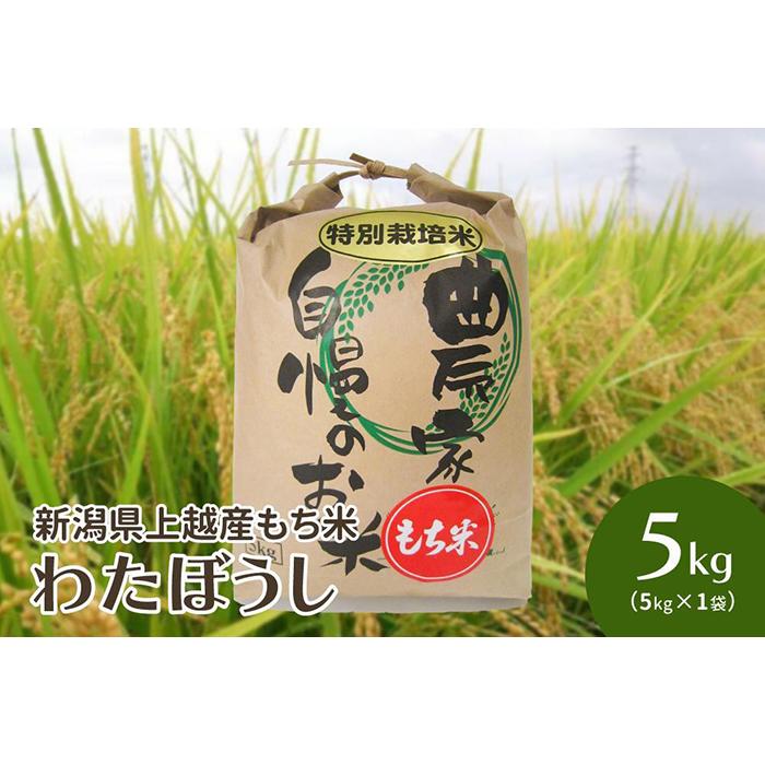 【ふるさと納税】令和5年・新潟県上越産｜もち米「わたぼうし」新潟県特別栽培米｜5kg（白米）