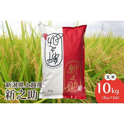 令和5年・新潟県上越産｜新潟ブランド米「新之助」 玄米10kg（5kg×2袋）