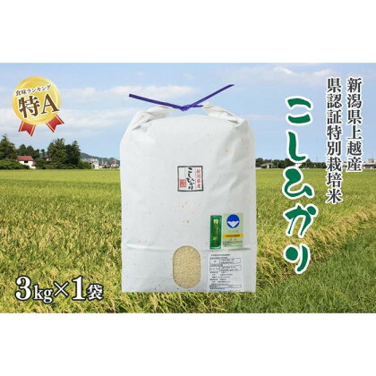 令和4年産／新潟県上越産 人気のお米「新潟県認証特別栽培米コシヒカリ」精米3kg