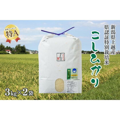 令和4年産／新潟県上越産 人気のお米「新潟県認証特別栽培米コシヒカリ」精米6kg（3kg×2袋）