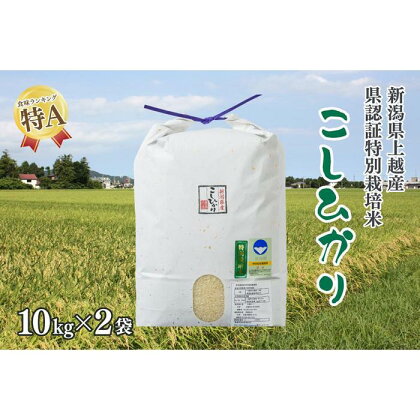 令和4年産／新潟県上越産 人気のお米「新潟県認証特別栽培米コシヒカリ」精米20kg（10kg×2袋）