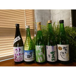 【ふるさと納税】地酒純米酒味比べ720ml×5本セット
