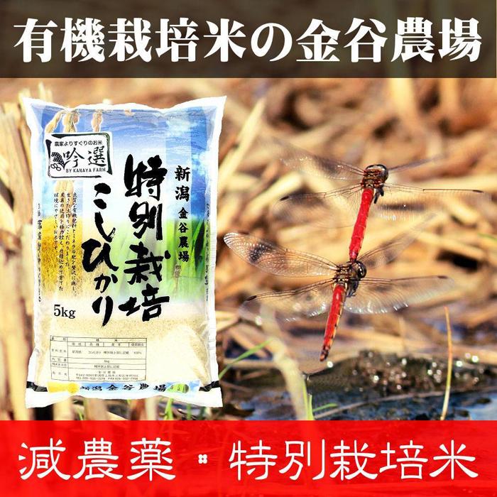 新潟県産特別栽培米コシヒカリ 白米5kg