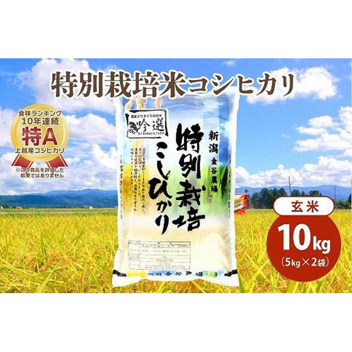 【ふるさと納税】令和5年産|新潟上越三和産|特別栽培米コシヒカリ(従来種)10kg(5kg×2)玄米 | お米 こめ 食品 人気 おすすめ 送料無料