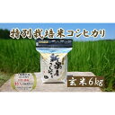 【ふるさと納税】令和5年産｜新潟上越三和産｜特別栽培米コシヒカリ（従来種）6kg（2kg×3）玄米 | お米 こめ 食品 人気 おすすめ 送料無料