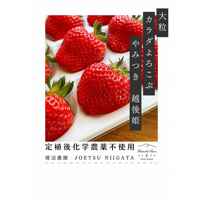 【ふるさと納税】大粒　カラダよろこぶ　やみつき越後姫　約400g×1パック（9～15粒入り） | フルーツ 果物 くだもの 食品 人気 おすすめ 送料無料