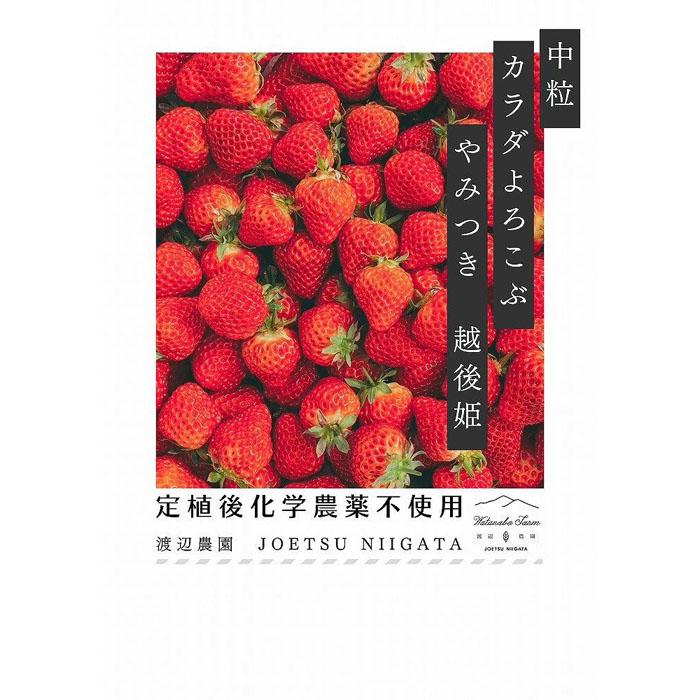 18位! 口コミ数「0件」評価「0」中粒　カラダよろこぶ　やみつき越後姫　200g×2パック（18～22粒入り） | フルーツ 果物 くだもの 食品 人気 おすすめ 送料無料