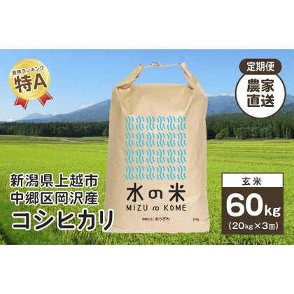『定期便』新潟県上越市中郷区岡沢産 コシヒカリ 玄米20kg 3ヶ月毎全3回