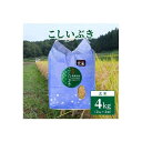 【ふるさと納税】【数量限定】令和5年産｜新潟上越清里東戸野産｜新潟県限定品種こしいぶき4kg（2kg×2袋）玄米 | お米 こめ 食品 人気 おすすめ 送料無料