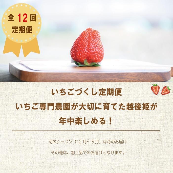 【全12回】いちごづくし定期配送【1～12月発送】 | フルーツ 果物 くだもの 食品 人気 おすすめ 送料無料