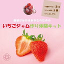 15位! 口コミ数「0件」評価「0」いちごジャム作り体験キット | フルーツ 果物 くだもの 食品 人気 おすすめ 送料無料