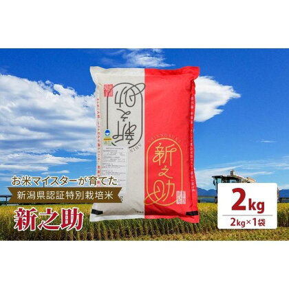 令和5年産お米マイスターが育てた新潟県認証特別栽培米「新之助」上越頸城産 2kg(2kg×1)精米 | お米 こめ 白米 食品 人気 おすすめ 送料無料