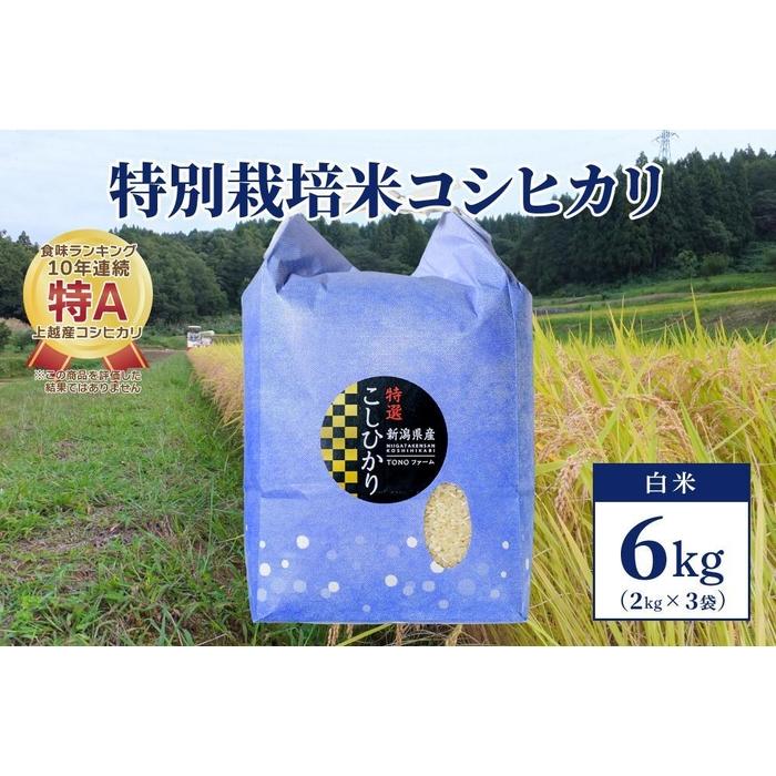 【50セット限定】令和5年産 新潟上越清里産 特別栽培米コシヒカリ6kg(2kg×3袋)白米 | お米 こめ 白米 食品 人気 おすすめ 送料無料