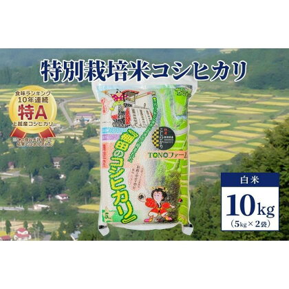 【50セット限定】令和5年産 新潟上越清里産 特別栽培米コシヒカリ10kg(5kg×2袋)白米 | お米 こめ 白米 食品 人気 おすすめ 送料無料