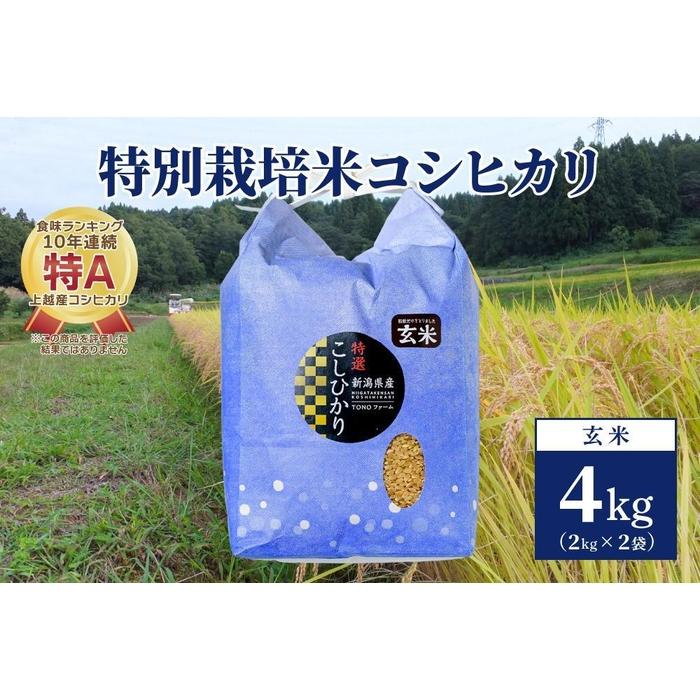 【50セット限定】令和5年産 新潟上越清里産 特別栽培米コシヒカリ4kg(2kg×2袋)玄米 | お米 こめ 食品 人気 おすすめ 送料無料
