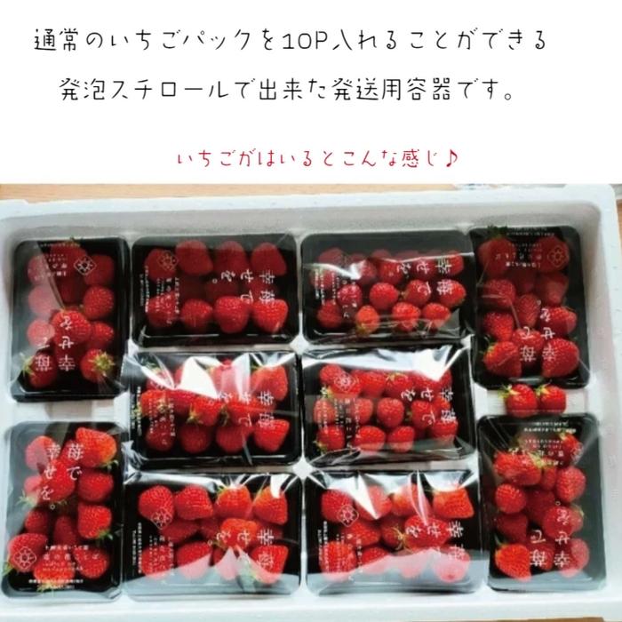 【ふるさと納税】訳あり越後姫　約200g×10パックセット | フルーツ 果物 くだもの 食品 人気 おすすめ 送料無料