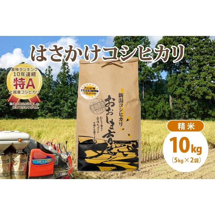 48位! 口コミ数「0件」評価「0」限定米令和5年産/新潟上越大島産/特A棚田はさがけ天日干し米コシヒカリ10kg(5kg×2)精米 | お米 こめ 白米 食品 人気 おすすめ･･･ 