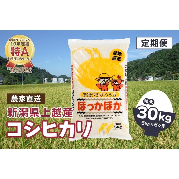 【毎月定期便】新潟県上越市浦川原産|極上の雪国米 コシヒカリ5kg(5kg×1)精米全6回 | お米 こめ 白米 食品 人気 おすすめ 送料無料