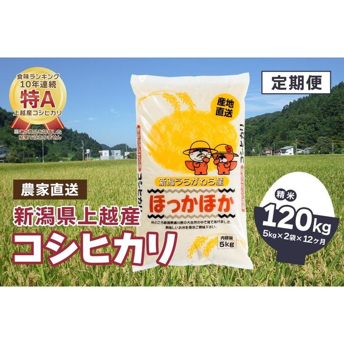 【毎月定期便】新潟県上越市浦川原産|極上の雪国米 コシヒカリ10kg(5kg×2)精米全12回 | お米 こめ 白米 食品 人気 おすすめ 送料無料