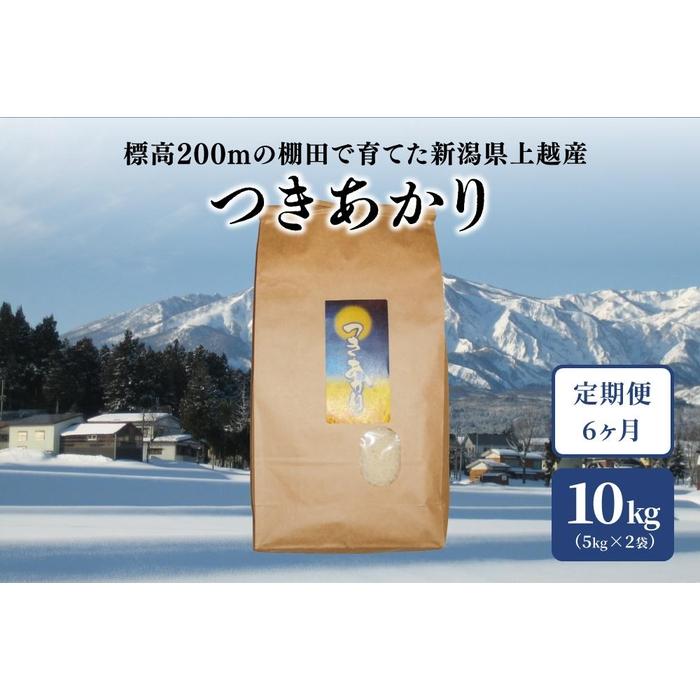 【毎月定期便】標高200mで育てた棚田米|新潟上越中郷・早生品種つきあかり精米10kg(5kg×2)全6回 | お米 こめ 白米 食品 人気 おすすめ 送料無料