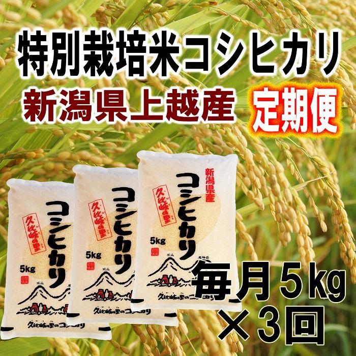 11位! 口コミ数「0件」評価「0」【定期便】新潟県上越産特別栽培米コシヒカリ5kg×3回　令和5年度産 | お米 こめ 白米 食品 人気 おすすめ 送料無料