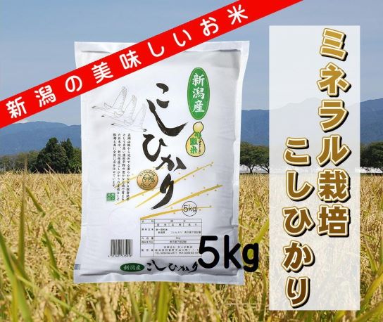 【ふるさと納税】ミネラル栽培こしひかり 5kg